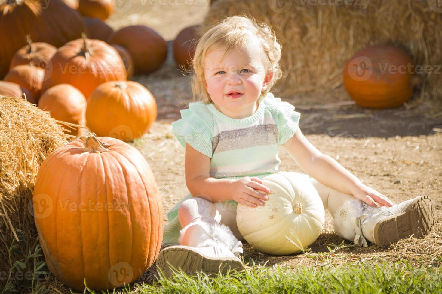 adorable petite fille tenant une citrouille au champ de citrouilles photo