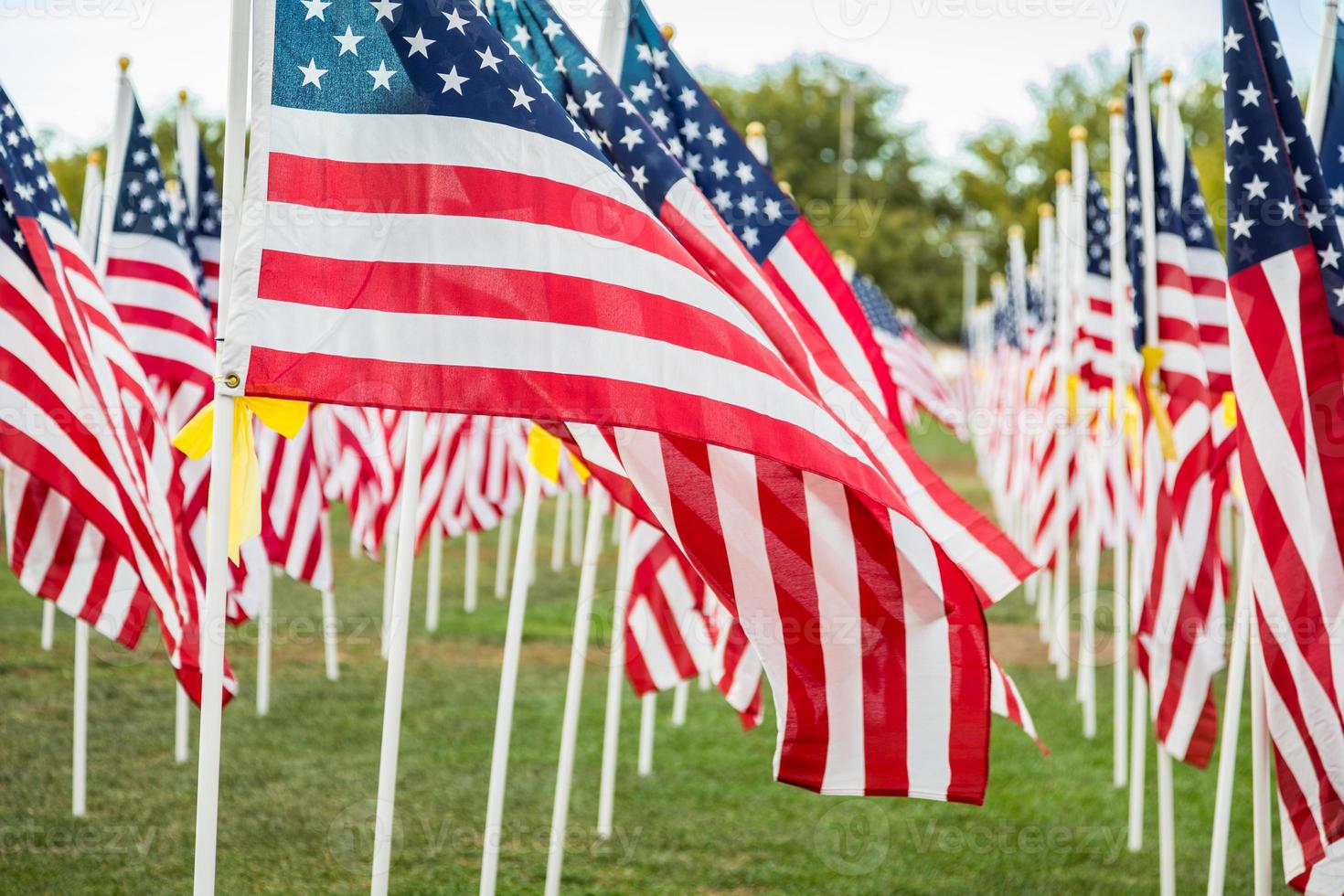 champ de drapeaux américains de la journée des anciens combattants agitant dans la brise. photo