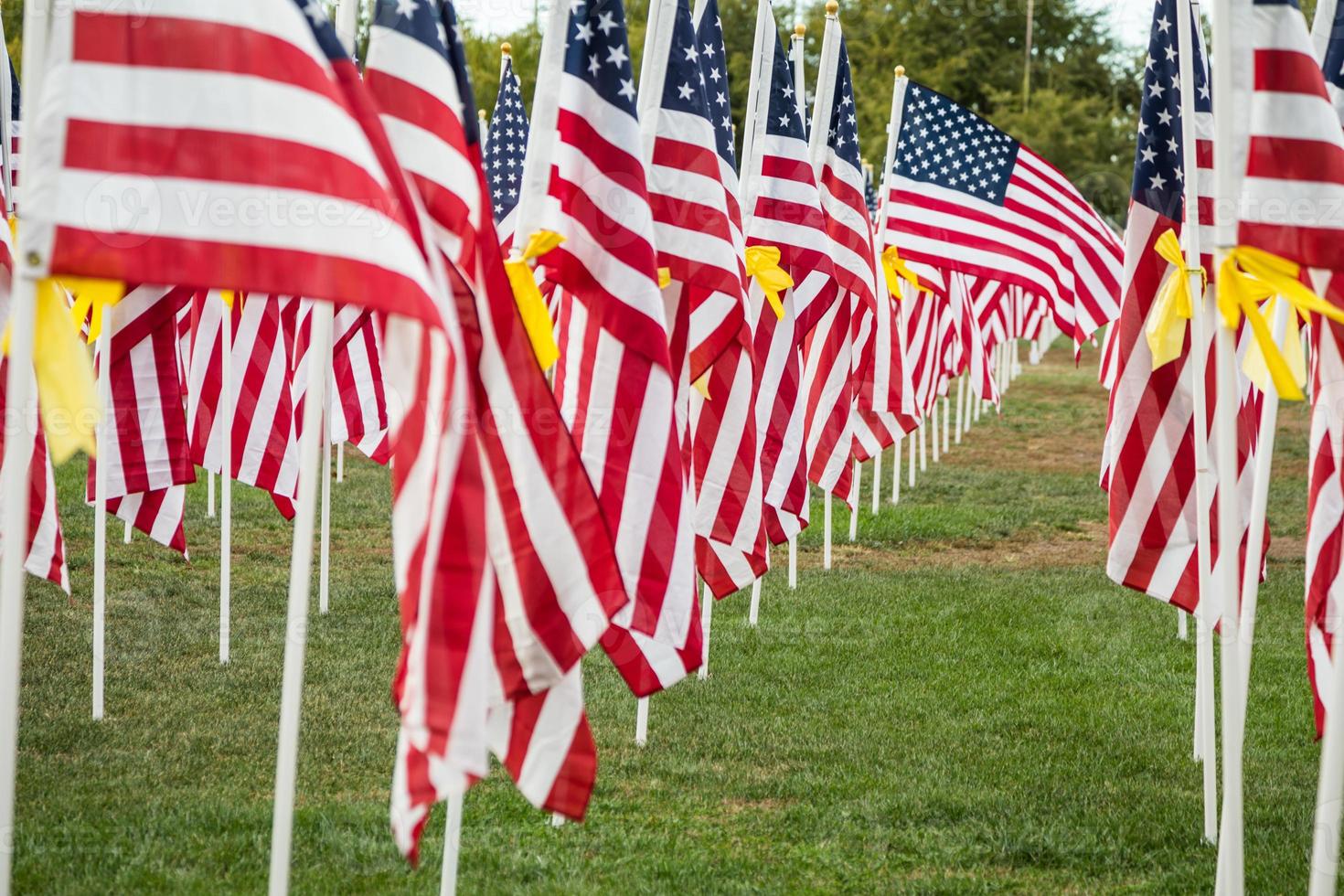 champ de drapeaux américains de la journée des anciens combattants agitant dans la brise. photo