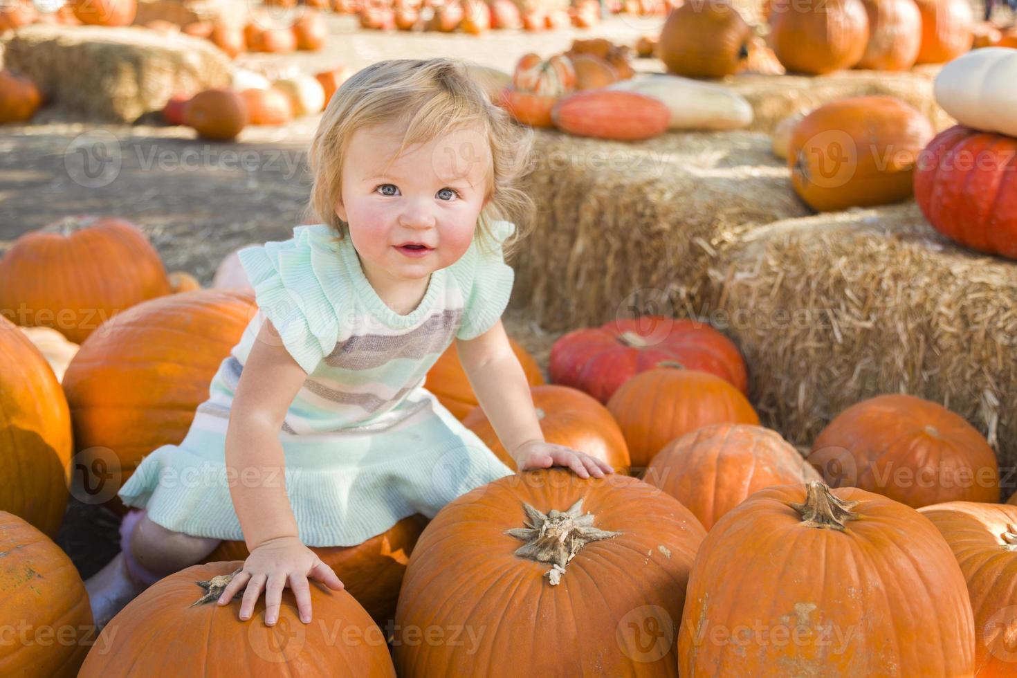 adorable petite fille tenant une citrouille au champ de citrouilles photo