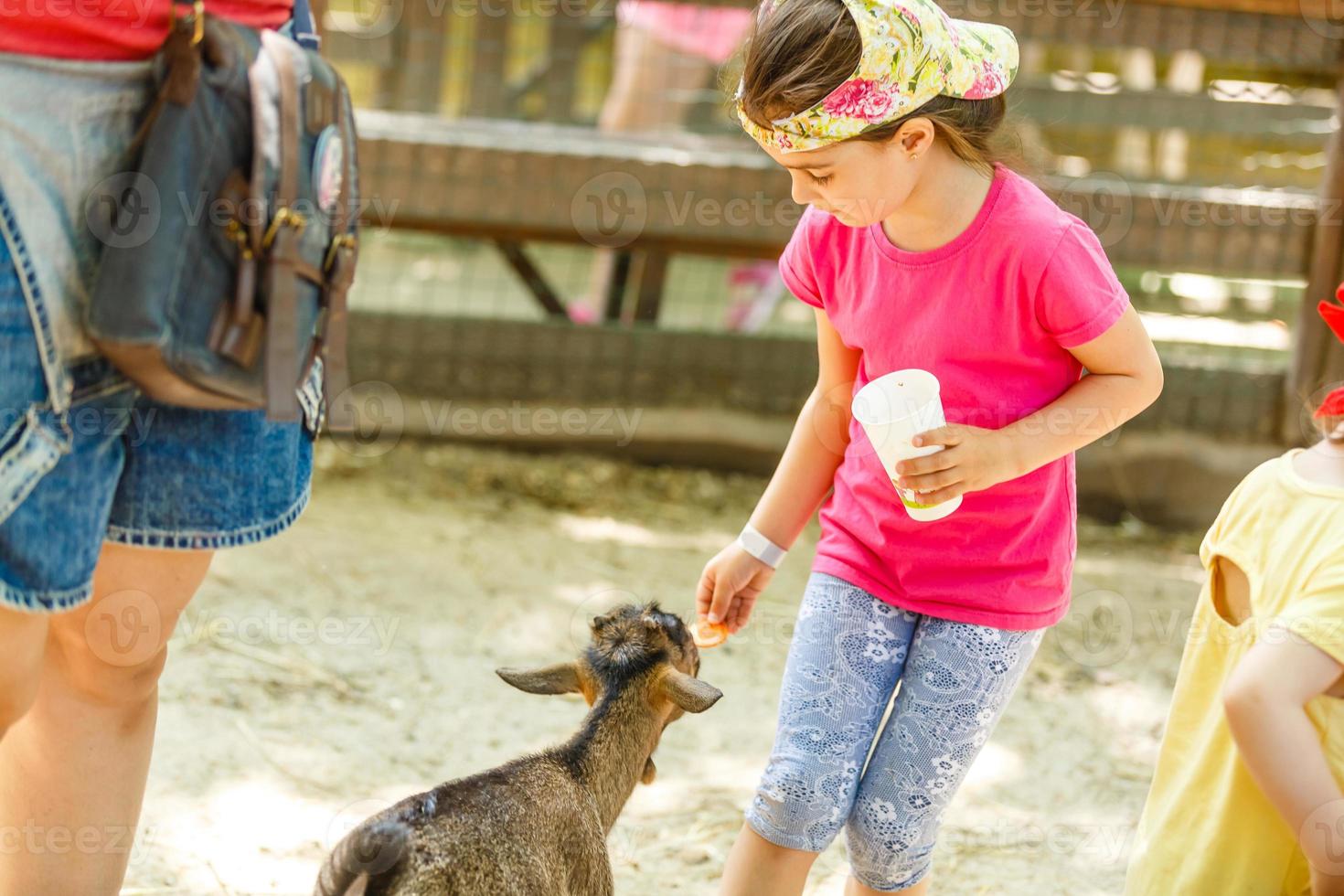 mignon petit enfant nourrissant une chèvre à la ferme photo