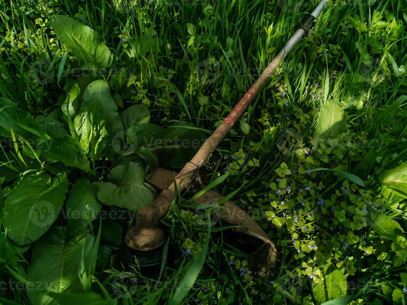 homme avec une tondeuse à gazon manuelle tond l'herbe photo