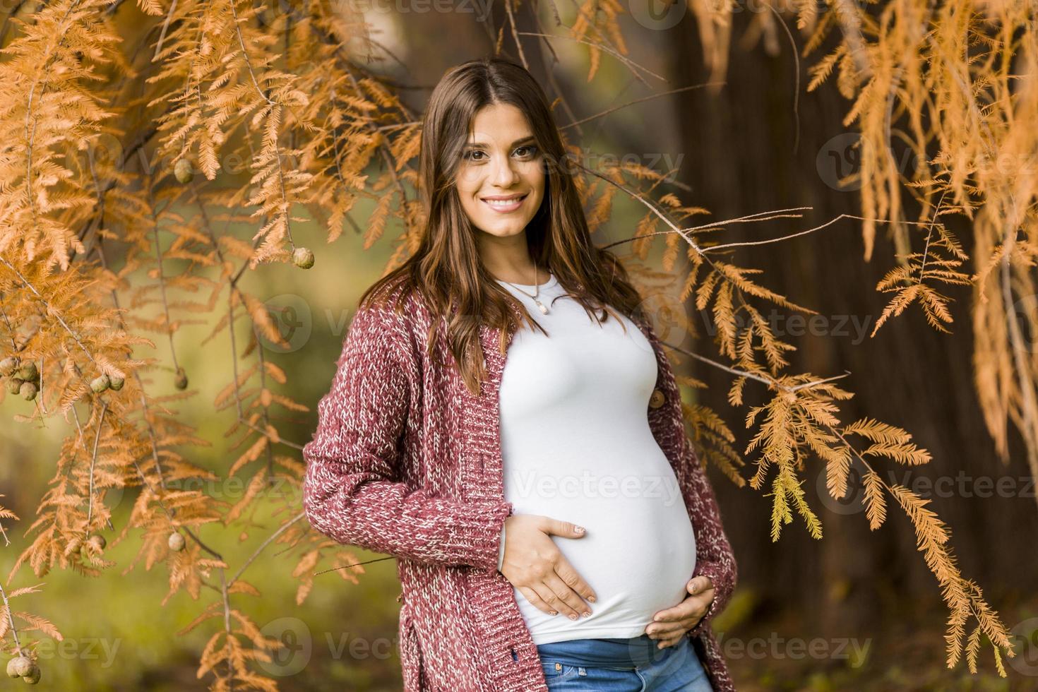 jeune femme enceinte dans le parc en automne photo