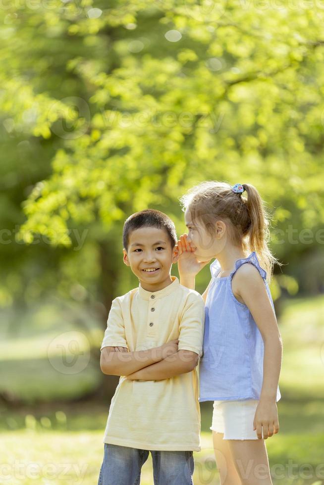 fille caucasienne racontant un secret à un garçon asiatique dans le parc photo