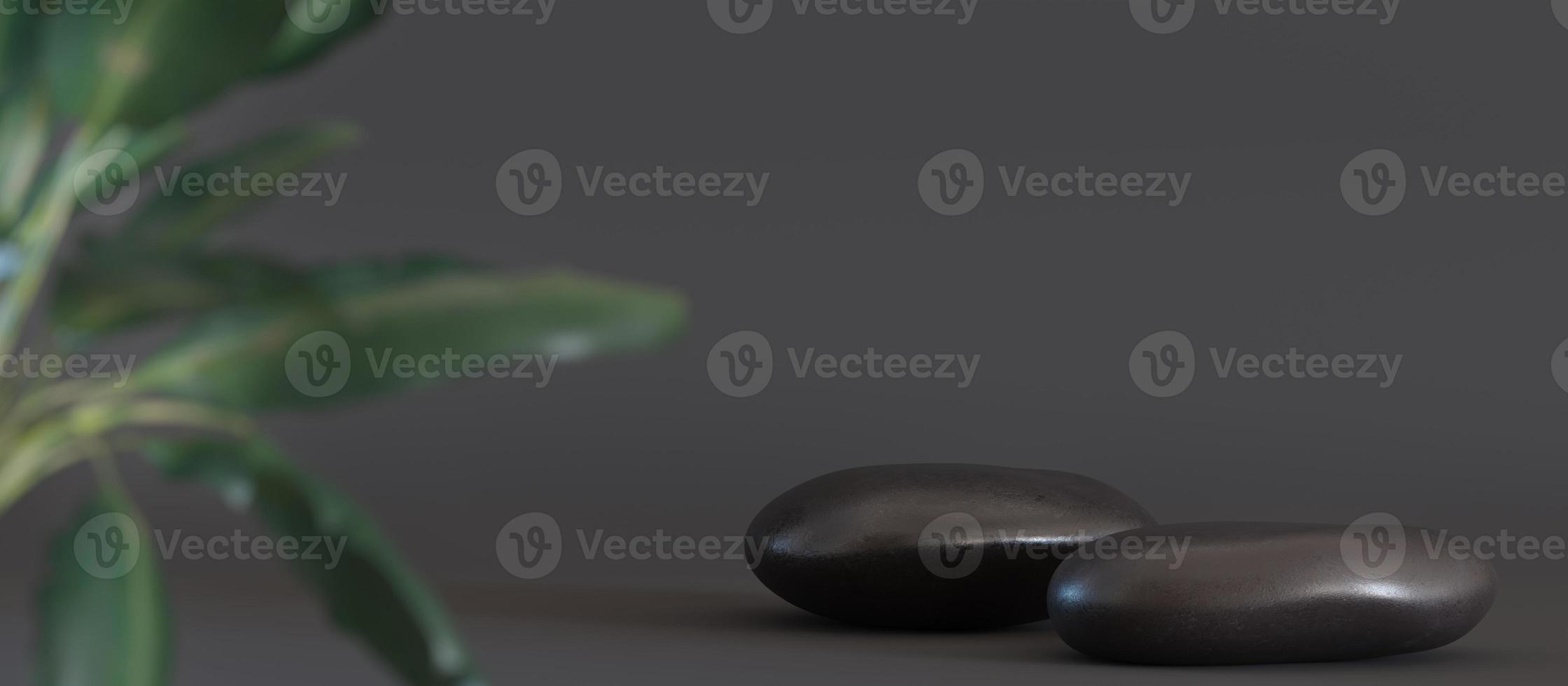 podiums de pierres noires avec des plantes sur fond gris. scène élégante pour le produit, présentation cosmétique. maquette naturelle. piédestal, plate-forme pour produits de beauté. pierre thermale. étalage, vitrine. rendu 3D. photo