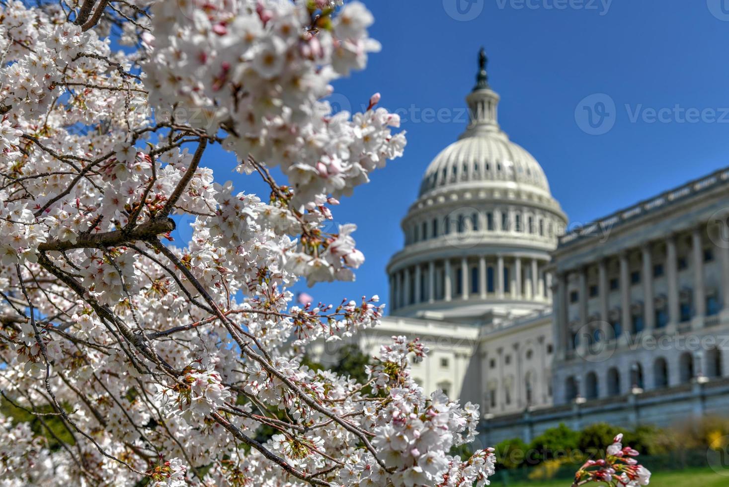 bâtiment du capitole américain - washington, dc photo