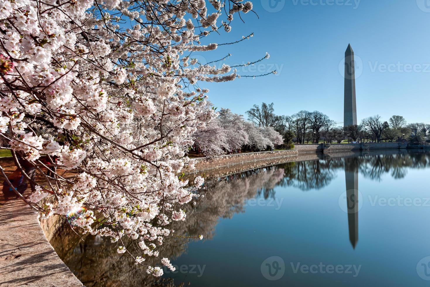 Monument de Washington à Washington DC, USA photo