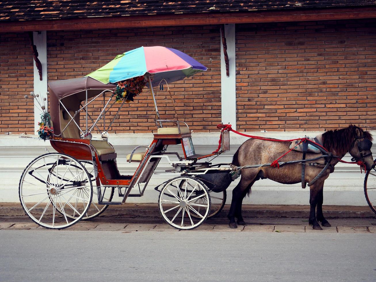 cheval de calèche pays pour voyageur devant le mur du temple en thaïlande à lampang janvier 2019 photo