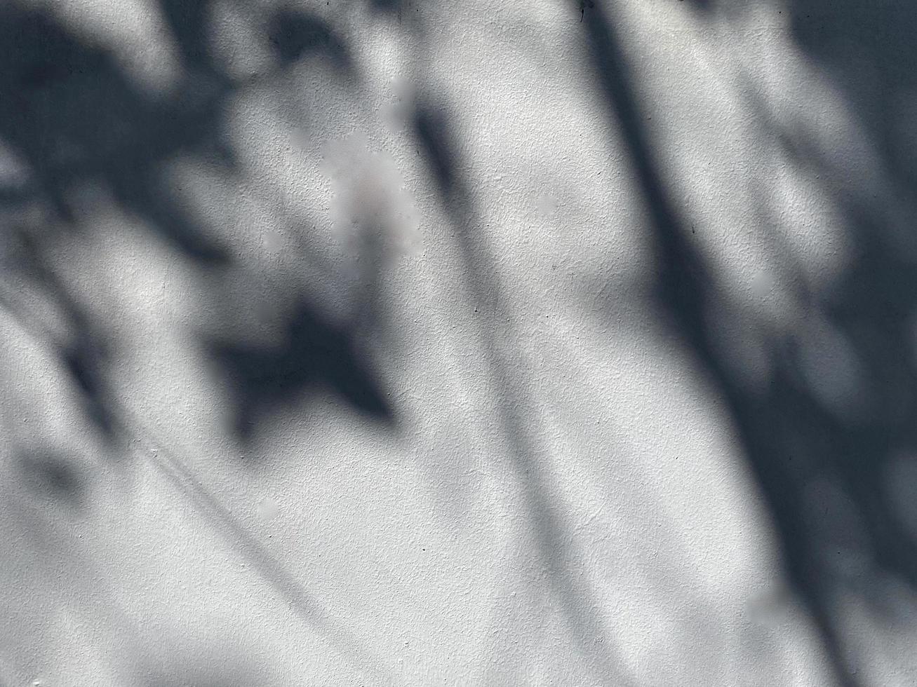 feuilles d'ombre sur le vieux fond de mur photo