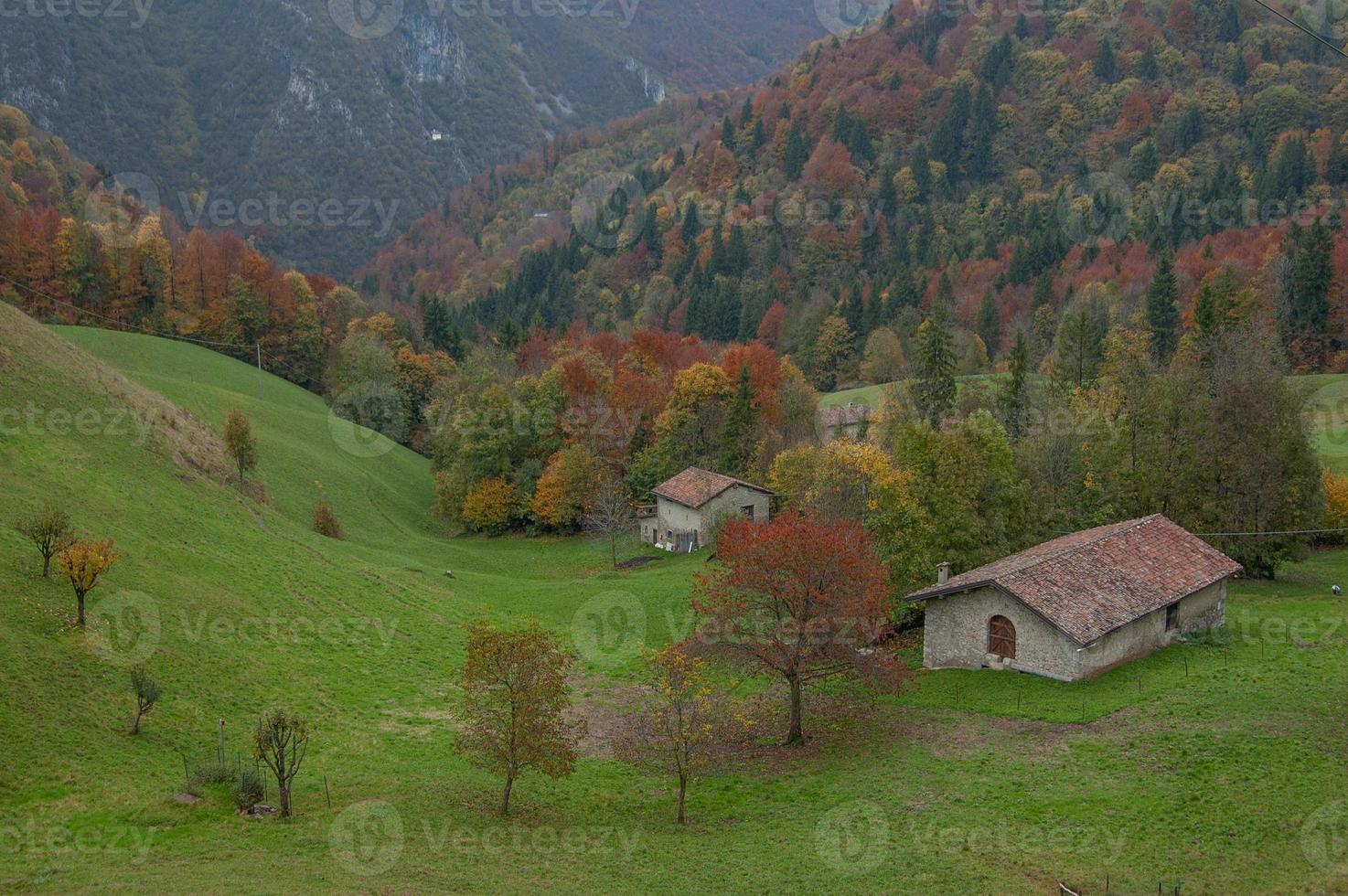 paysage d'automne aux couleurs vives photo