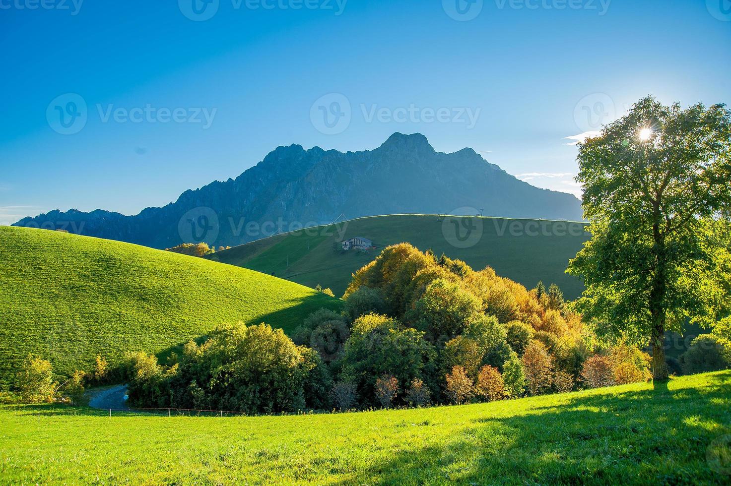 prairie à flanc de colline avec des arbres en automne photo