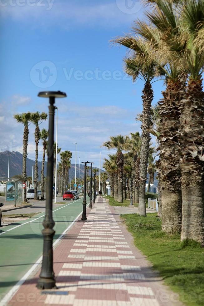 passerelle et piste cyclable avec palmiers dans la station balnéaire pendant les vacances d'été photo