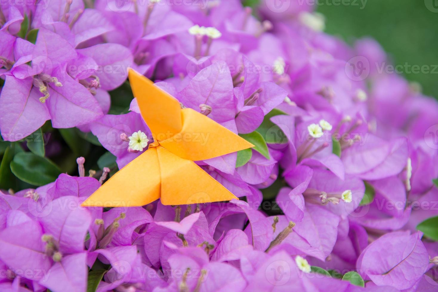 origami papillon avec fleur photo