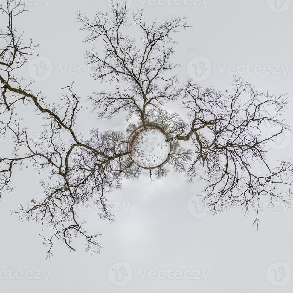 transformation de la petite planète hivernale du panorama sphérique à 360 degrés. vue aérienne abstraite sphérique dans la forêt de chênes avec des branches maladroites. avec de la neige. courbure de l'espace. photo