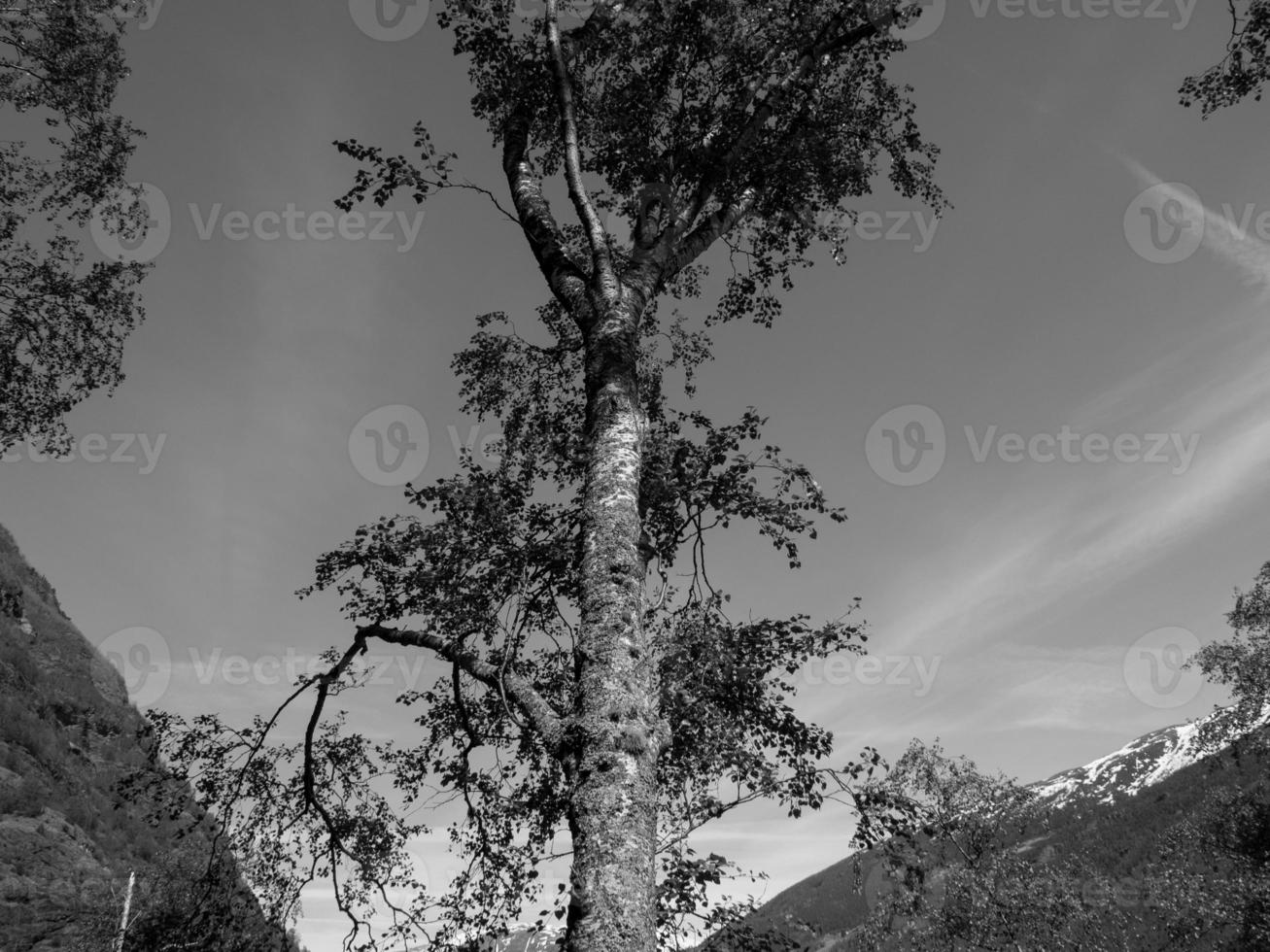 flam en norvège photo