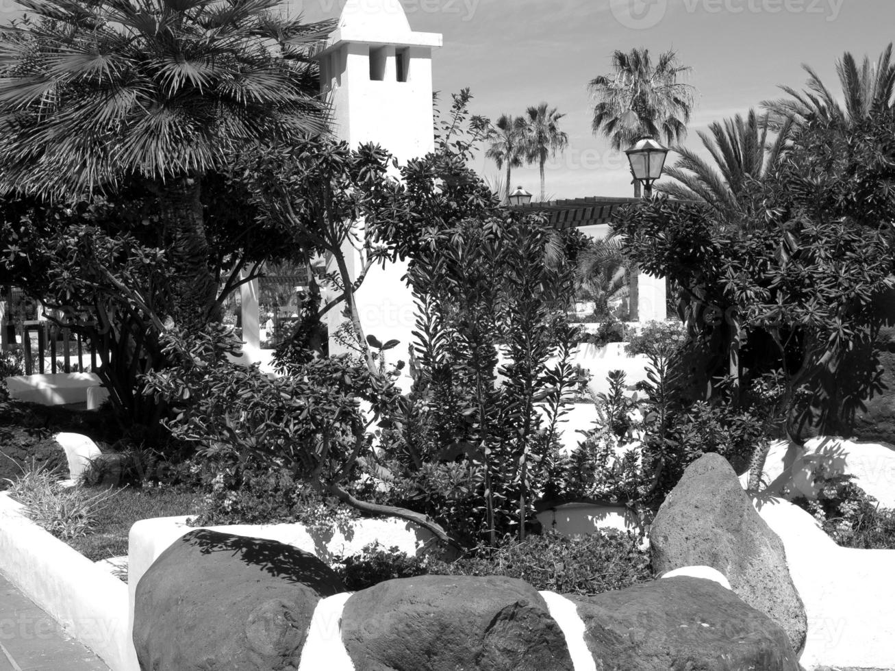 île de tenerife en espagne photo