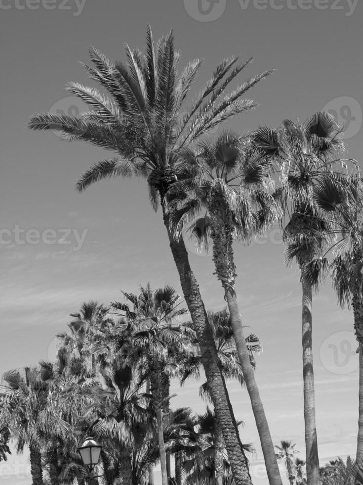 île de tenerife en espagne photo