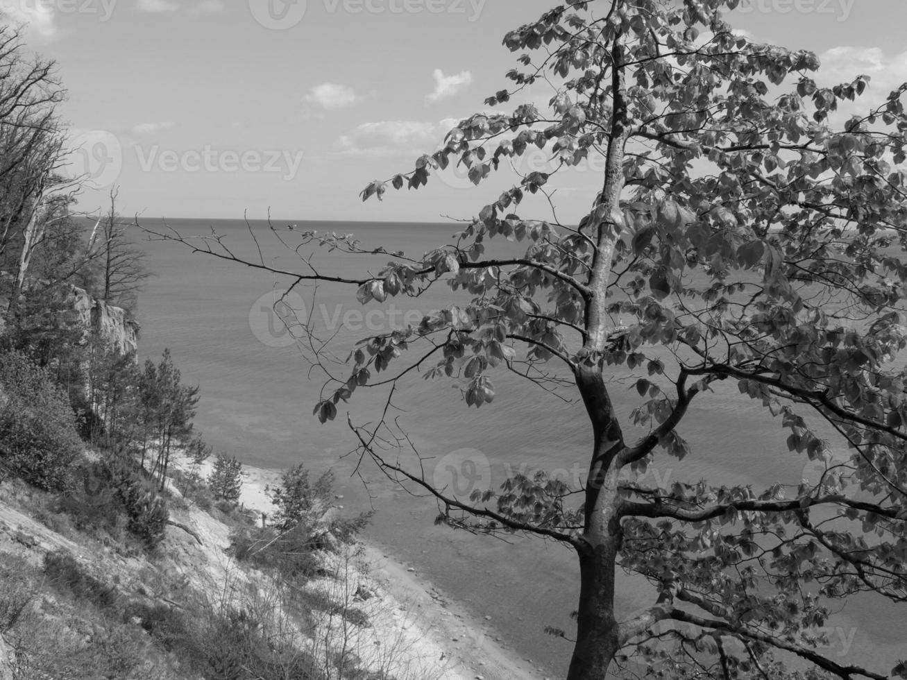 à la mer baltique en pologne photo