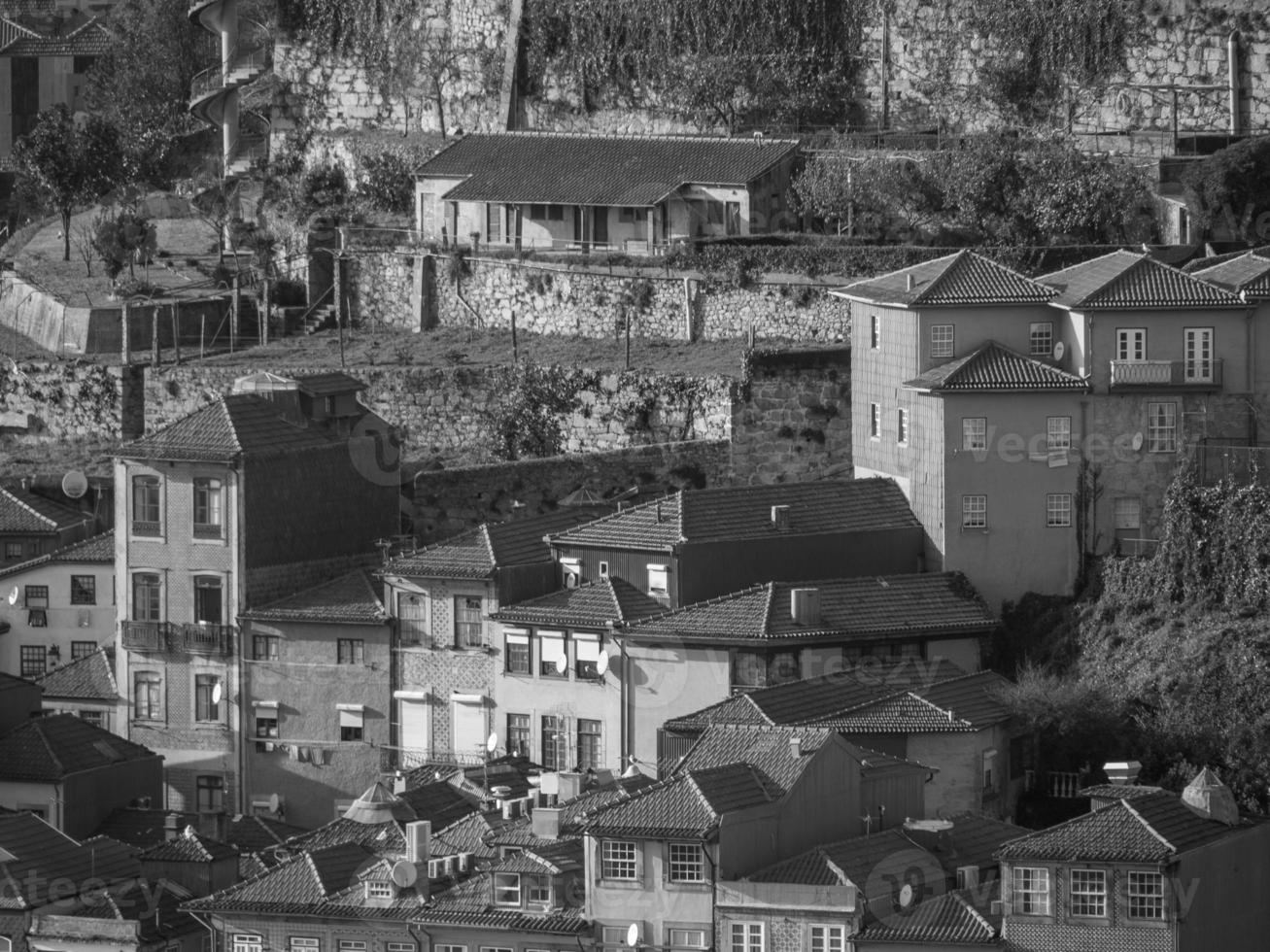 porto sur le douro photo