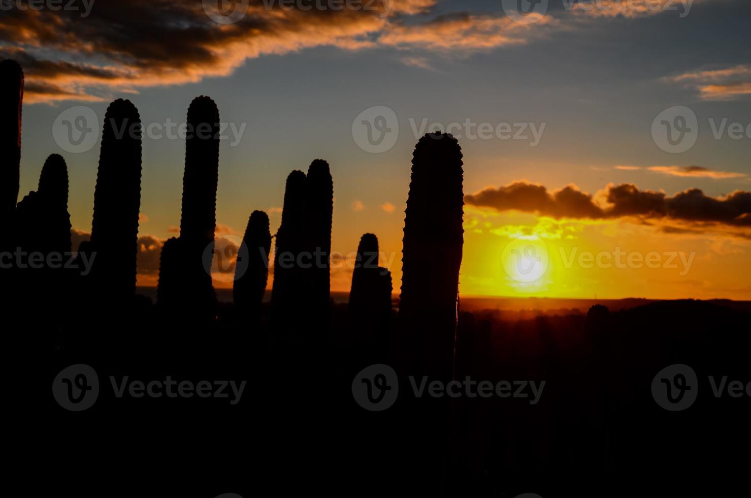 vue du ciel au coucher du soleil photo