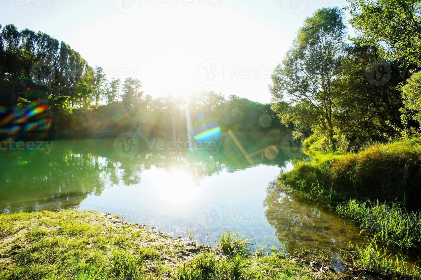 vue sur la forêt photo