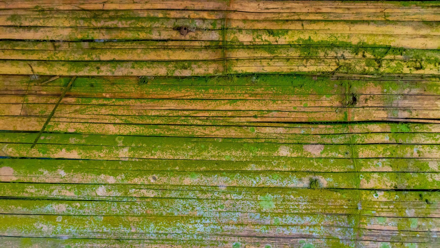 texture de mur de bambou moussu en arrière-plan photo