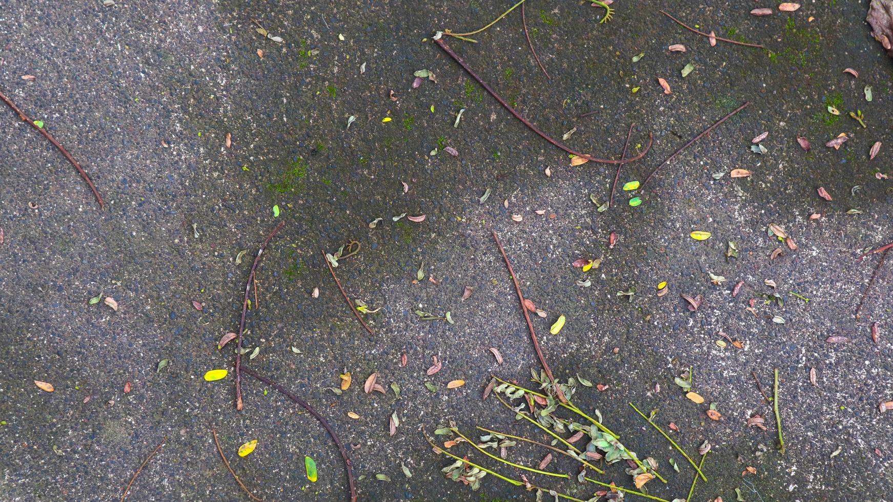 texture de rue en béton avec des feuilles sèches photo