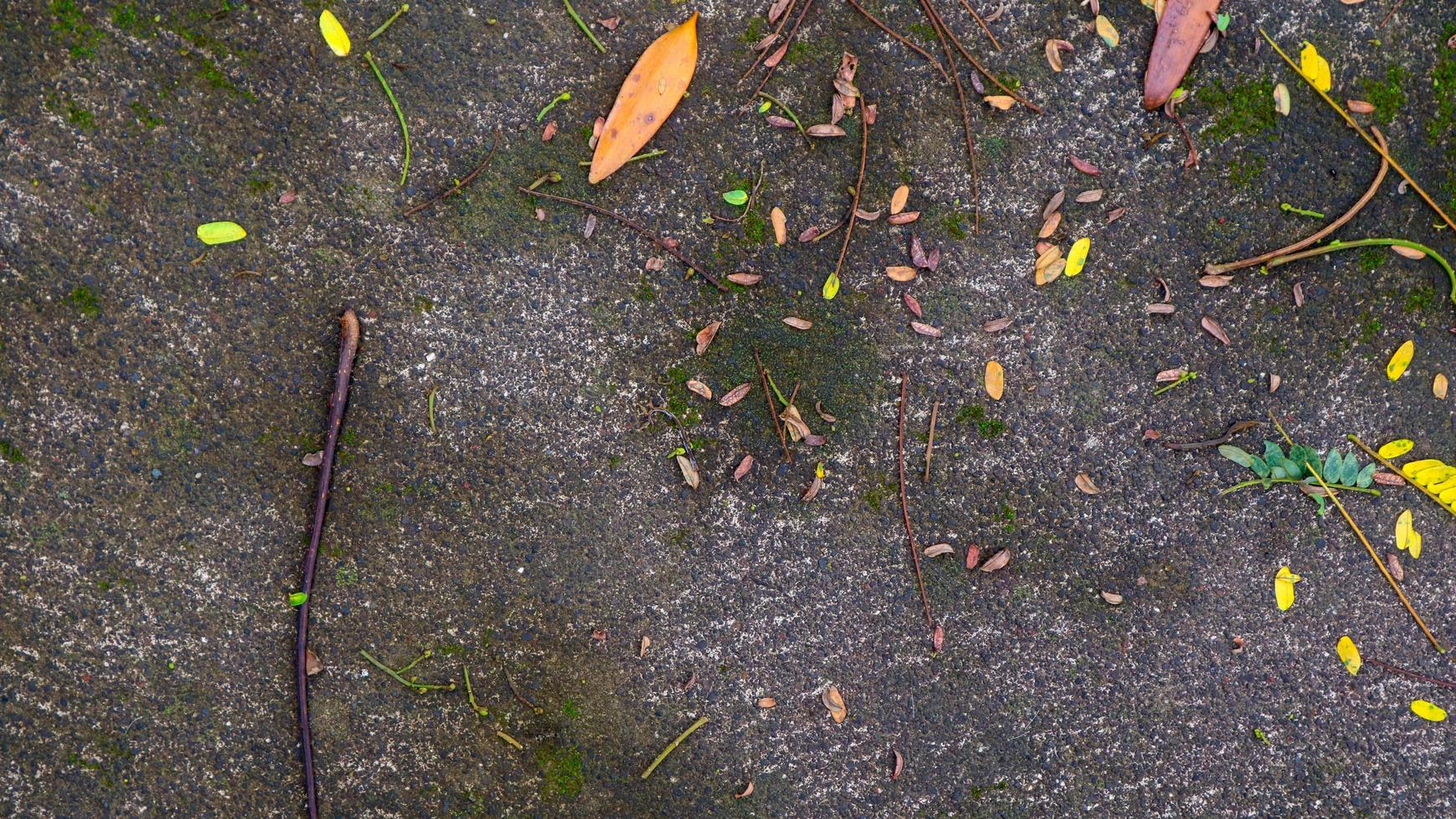 texture de rue en béton avec des feuilles sèches photo