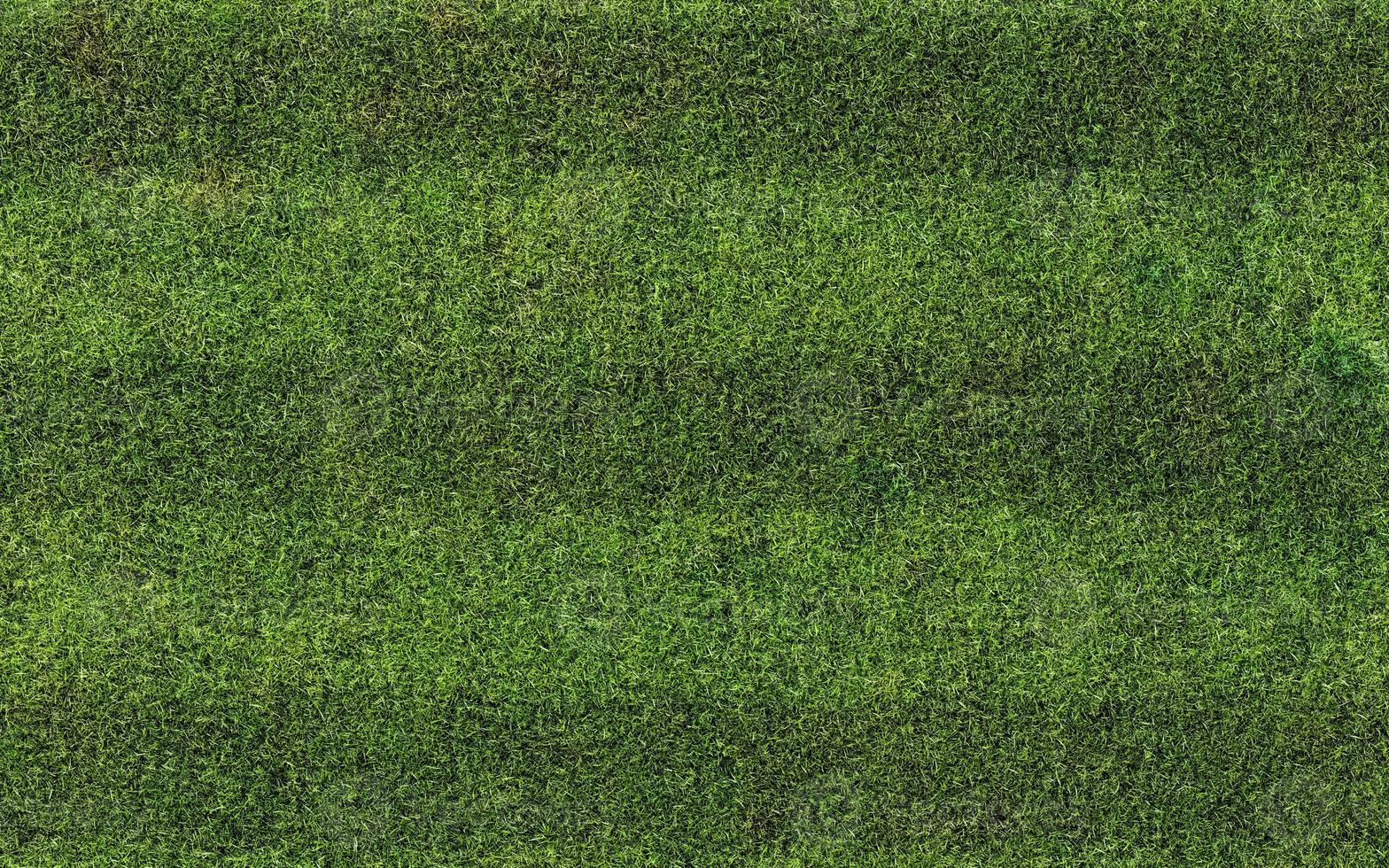 texture d'herbe verte pour le fond de sport. texture d'herbe. illustration de rendu 3d. photo