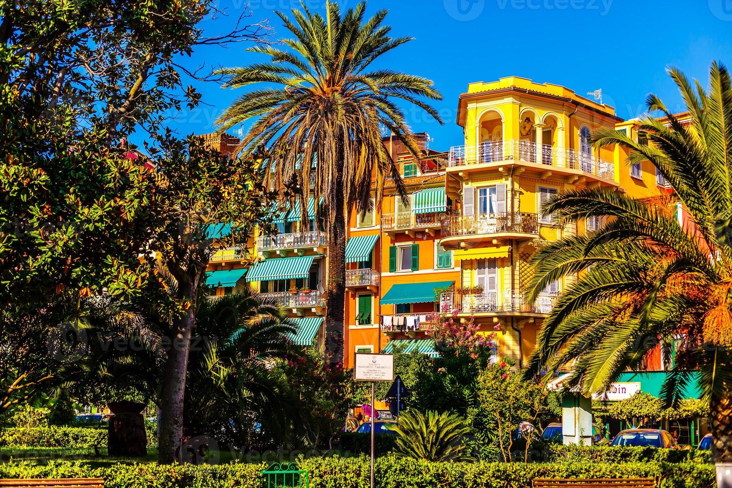 palmier et hôtel coloré avec balcons photo