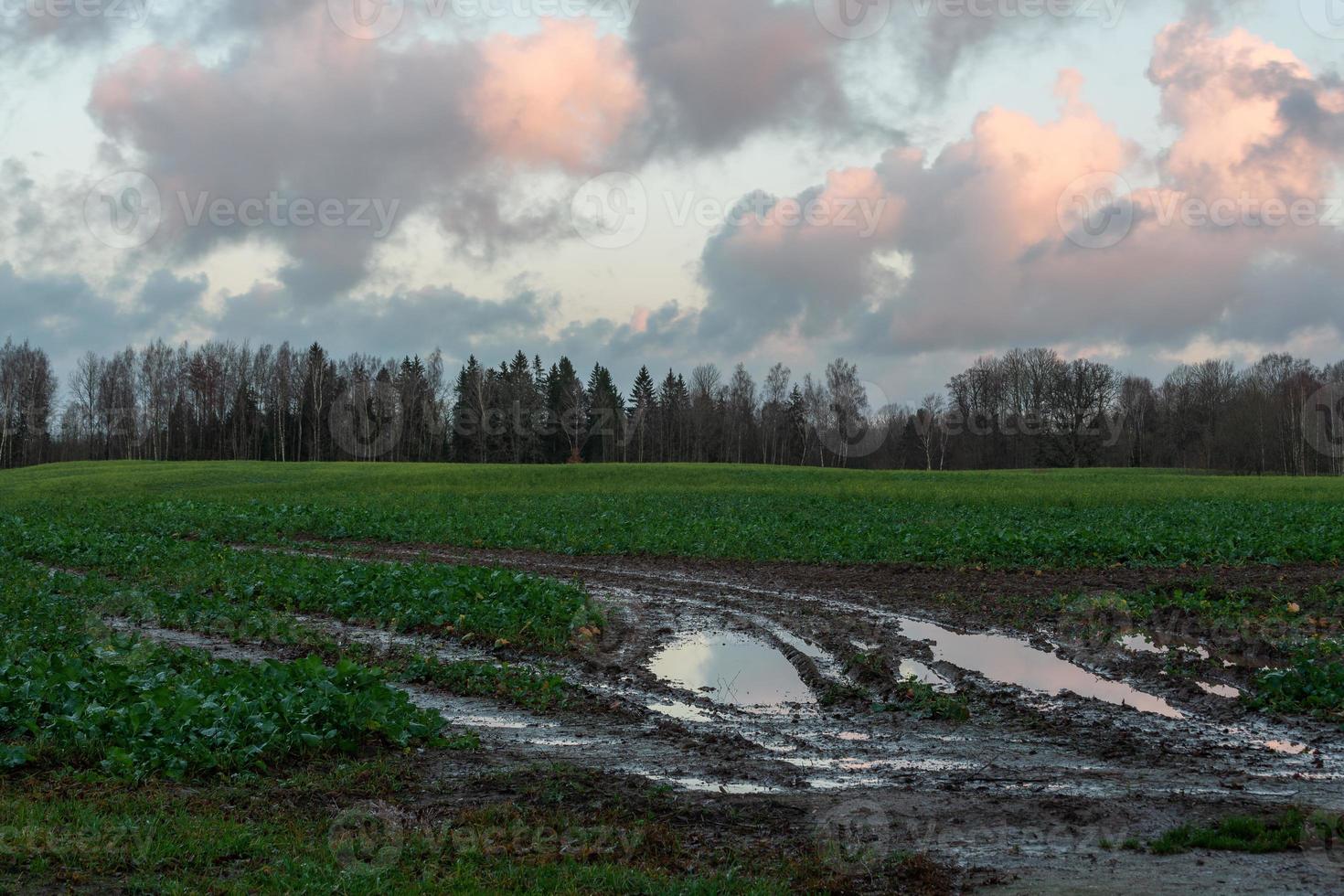 paysages naturels d'automne en lettonie photo