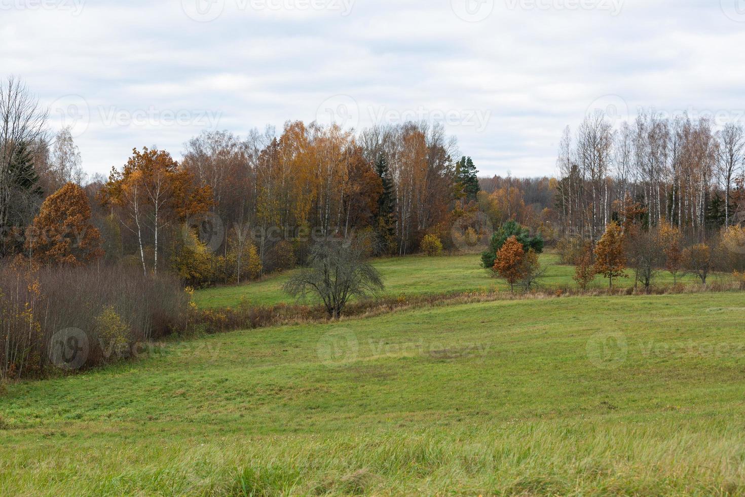 paysages naturels d'automne en lettonie photo