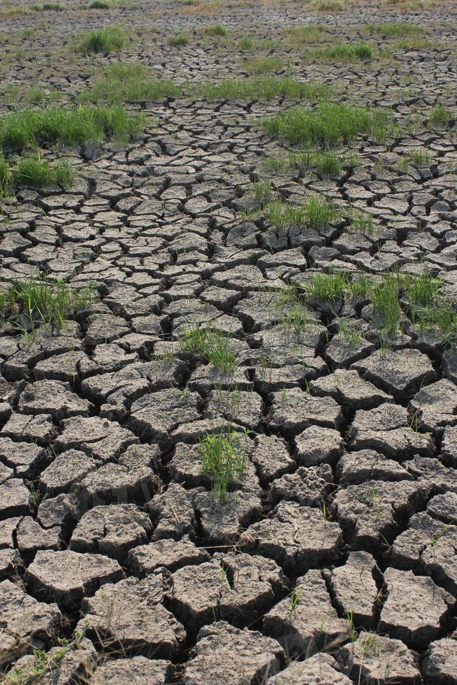 conditions de sécheresse des sols dans les pays asiatiques photo