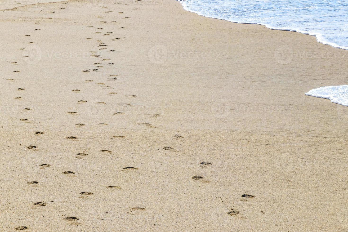 empreintes de pas sur le sable de la plage au bord de l'eau mexique. photo