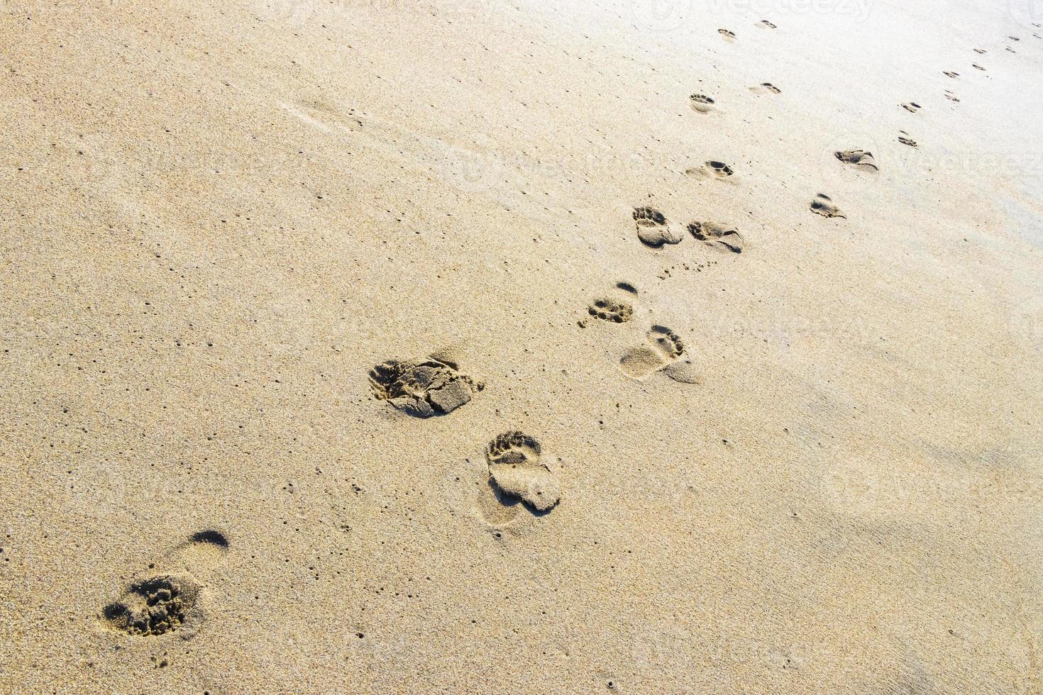 empreintes de pas sur le sable de la plage au bord de l'eau mexique. photo