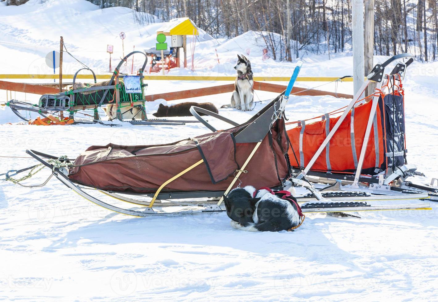 le traîneau utilisé sur le glacier rien homme pour les traîneaux à chiens photo