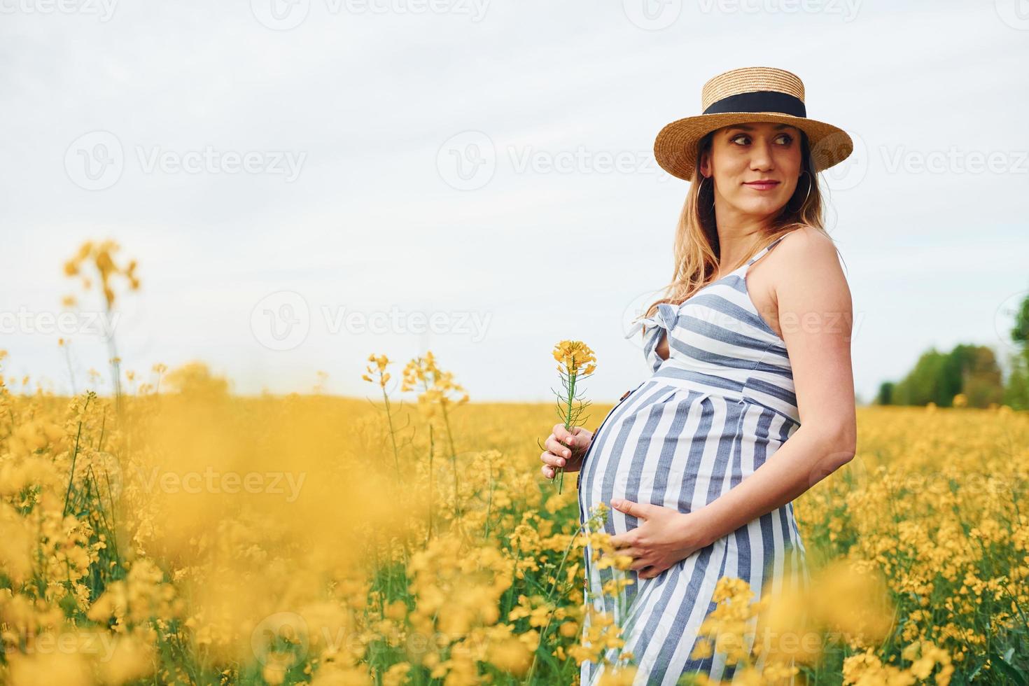 femme enceinte posant sur un champ de fleurs jaunes photo