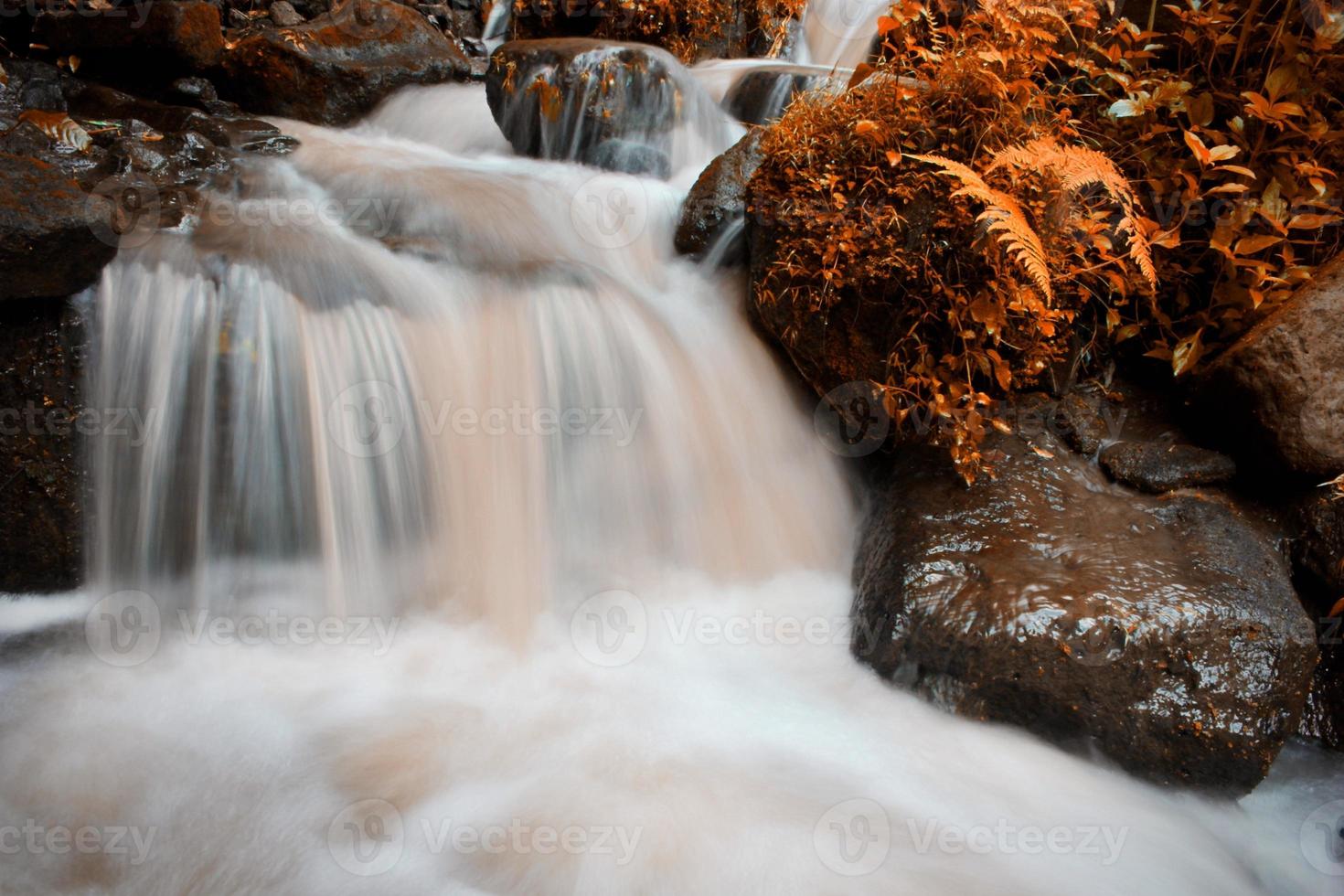 la beauté d'un ruisseau qui coule dans une zone rurale à bali. photo