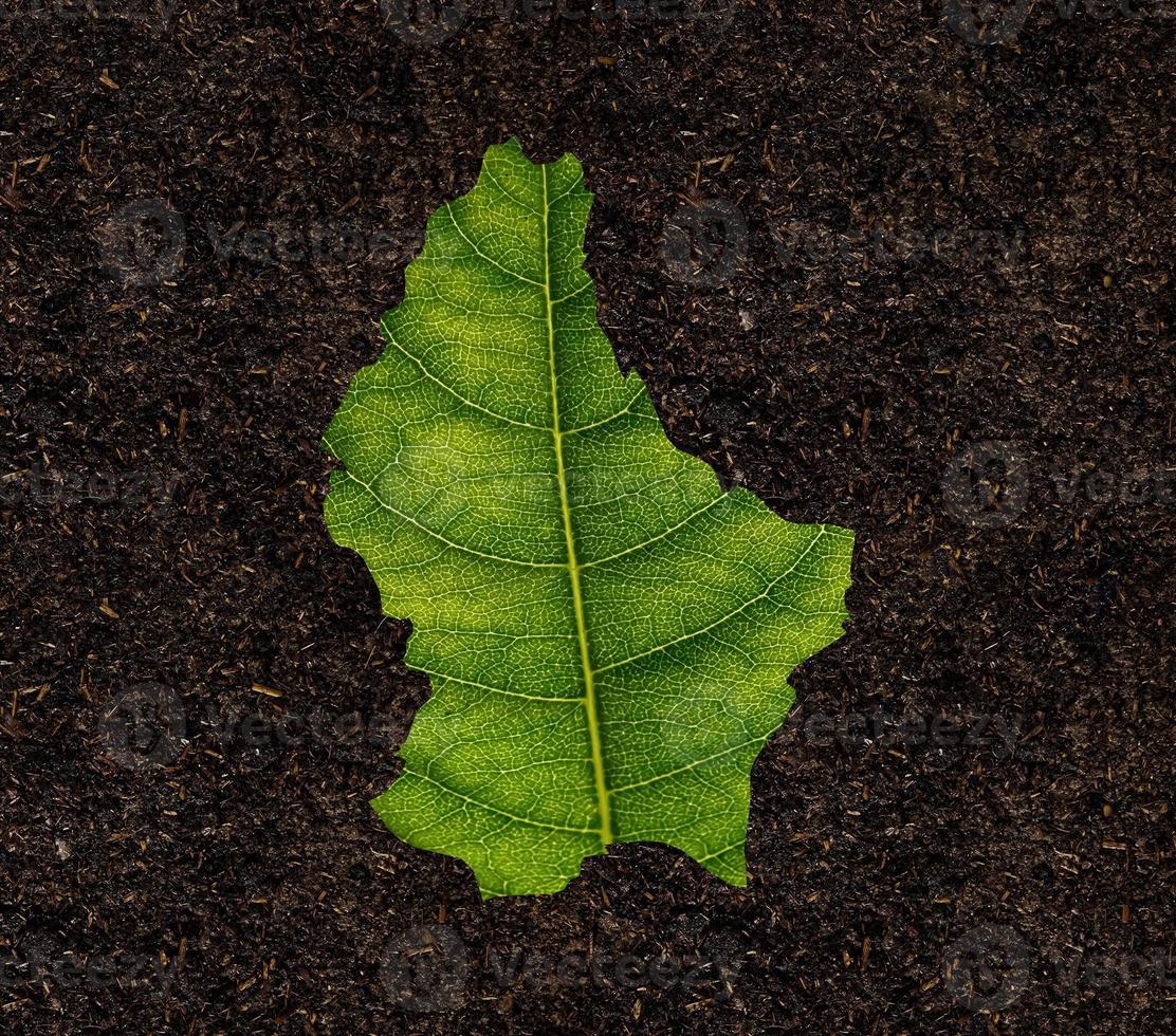 carte du luxembourg faite de feuilles vertes sur le concept d'écologie de fond de sol photo
