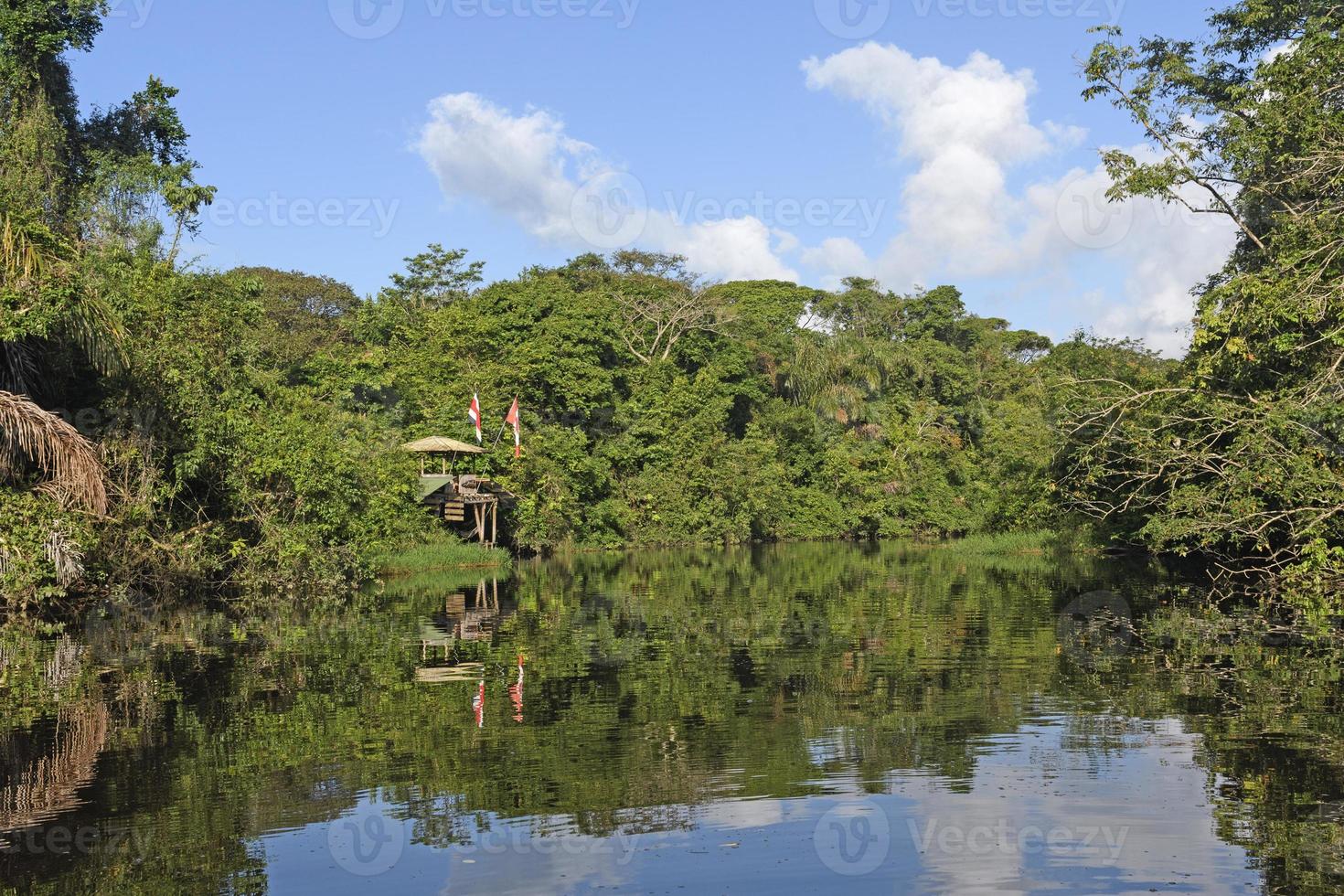 station de recherche à distance dans la forêt tropicale photo