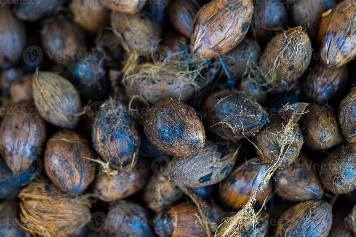 couper la noix de bétel ou la noix d'arec photo