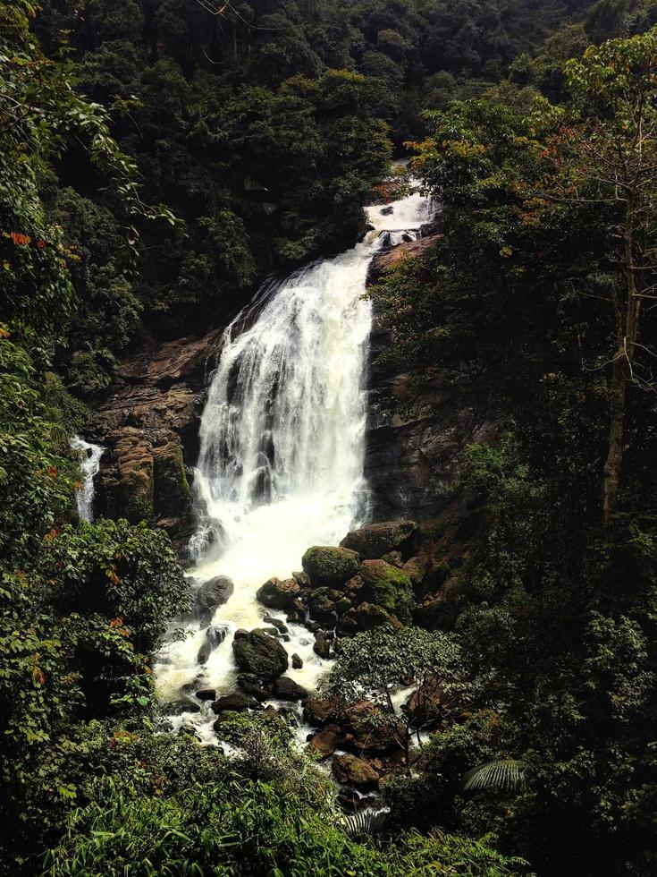 chutes d'eau dans les montagnes photo