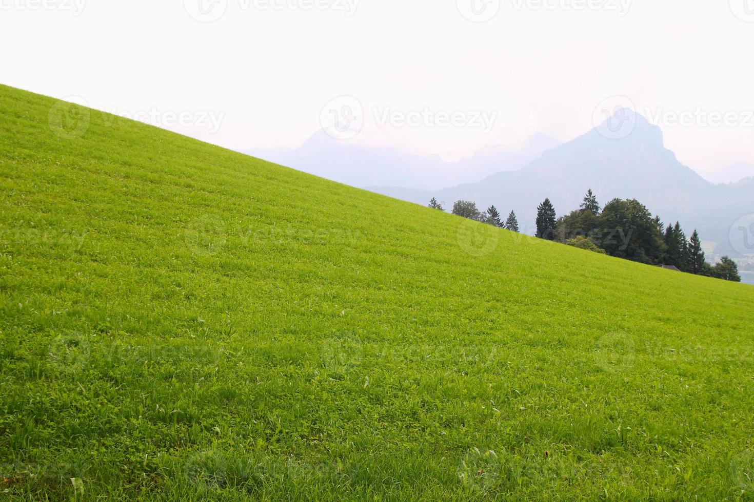 voyage à sankt-wolfgang, autriche. la vue sur le pré vert avec les montagnes en arrière-plan. photo