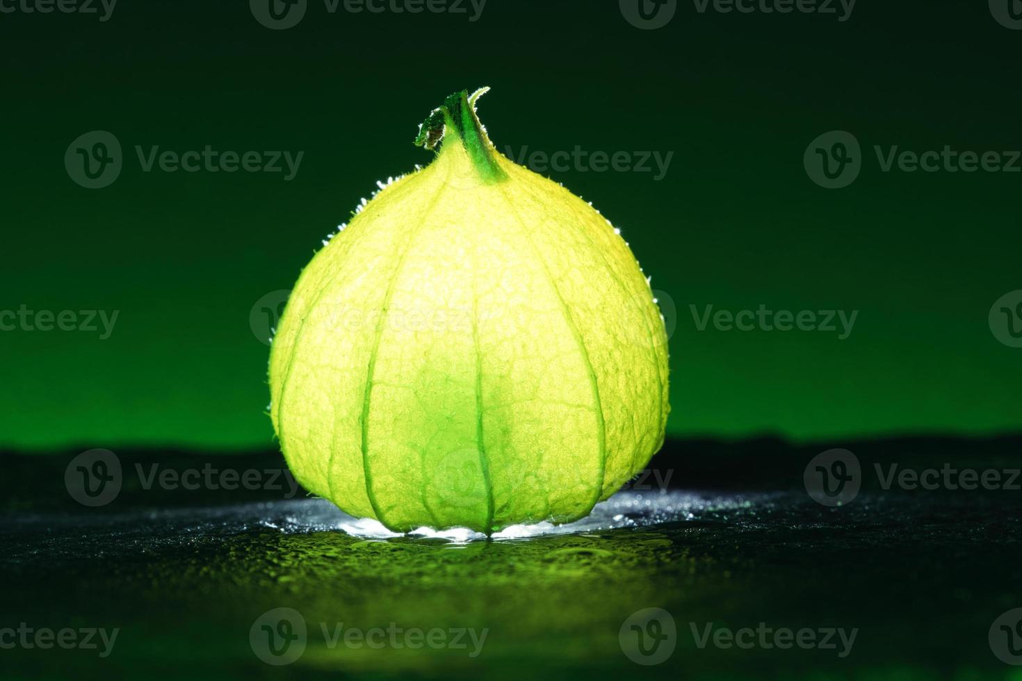 physalis sur un sol humide noir avec un fond vert. fruits illuminés. vitamine C photo