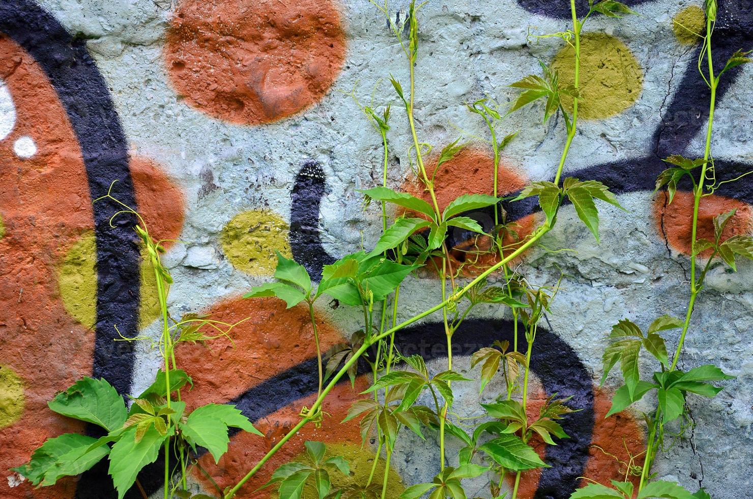 art sous terre. beau style de graffiti d'art de rue. le mur est orné de dessins abstraits de peinture maison. culture urbaine emblématique moderne des jeunes de la rue. image élégante abstraite sur le mur photo