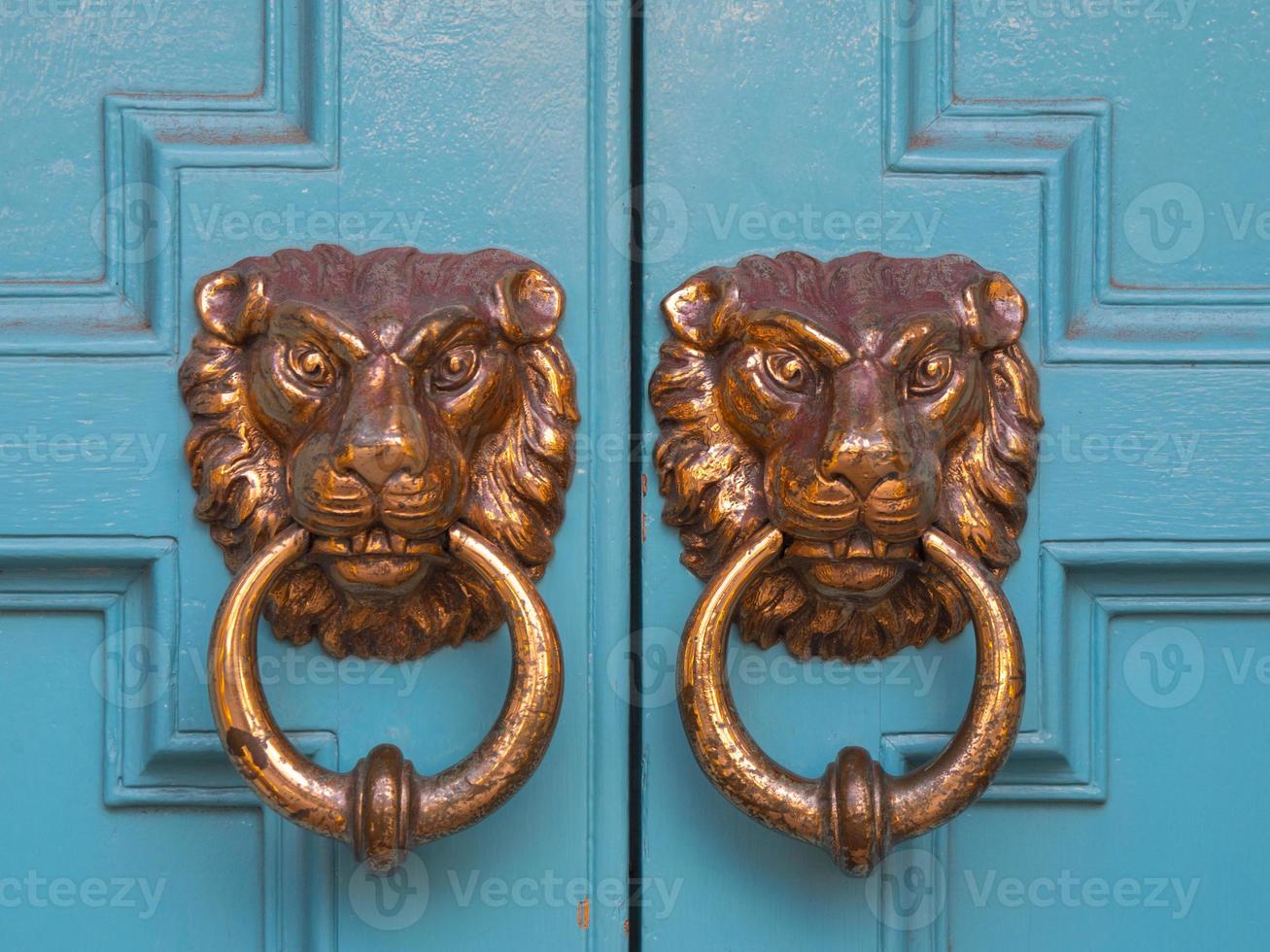 Deux heurtoirs en forme de lion en laiton sur porte en bois photo