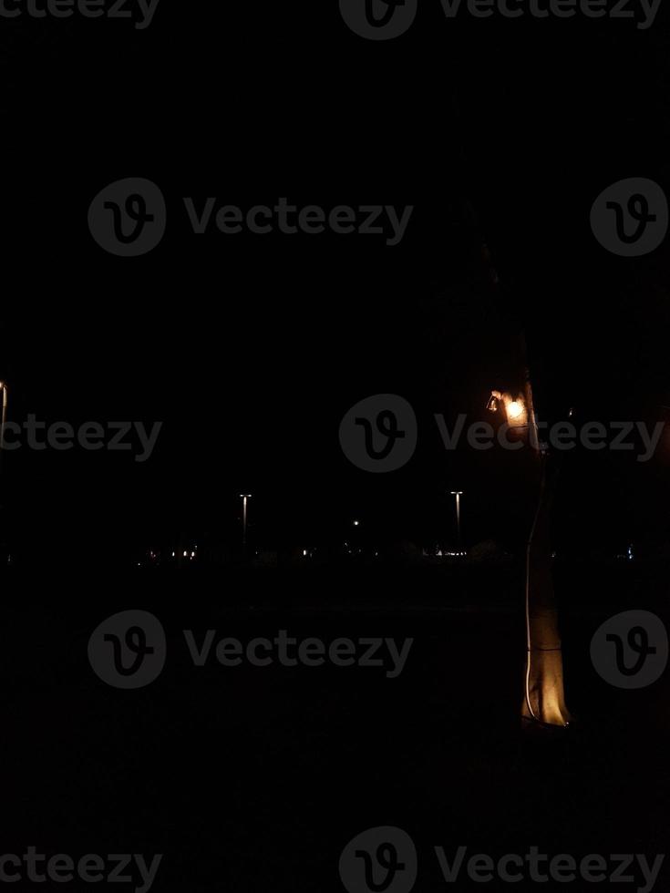 les lumières du jardin brillent la nuit. photo