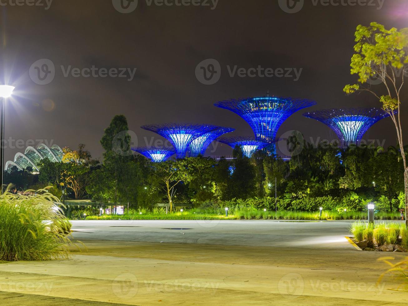 photo des jardins du parc de la baie à singapour pendant la nuit en septembre