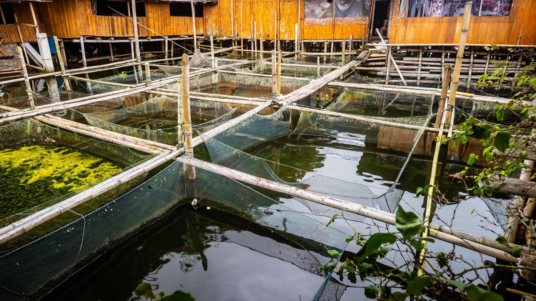 ferme piscicole traditionnelle dans le lac tondano en bambou photo