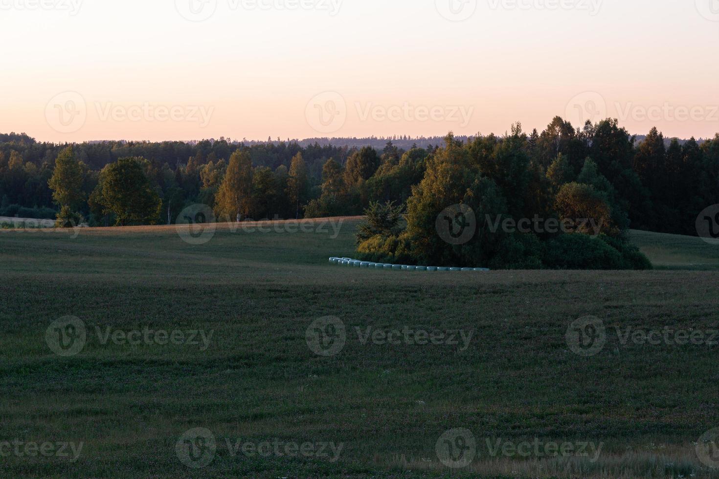 paysages d'été lettons photo